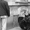 Accroches coeur18161